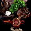 Vòng Tay Trầm Hương Tròn 10 li